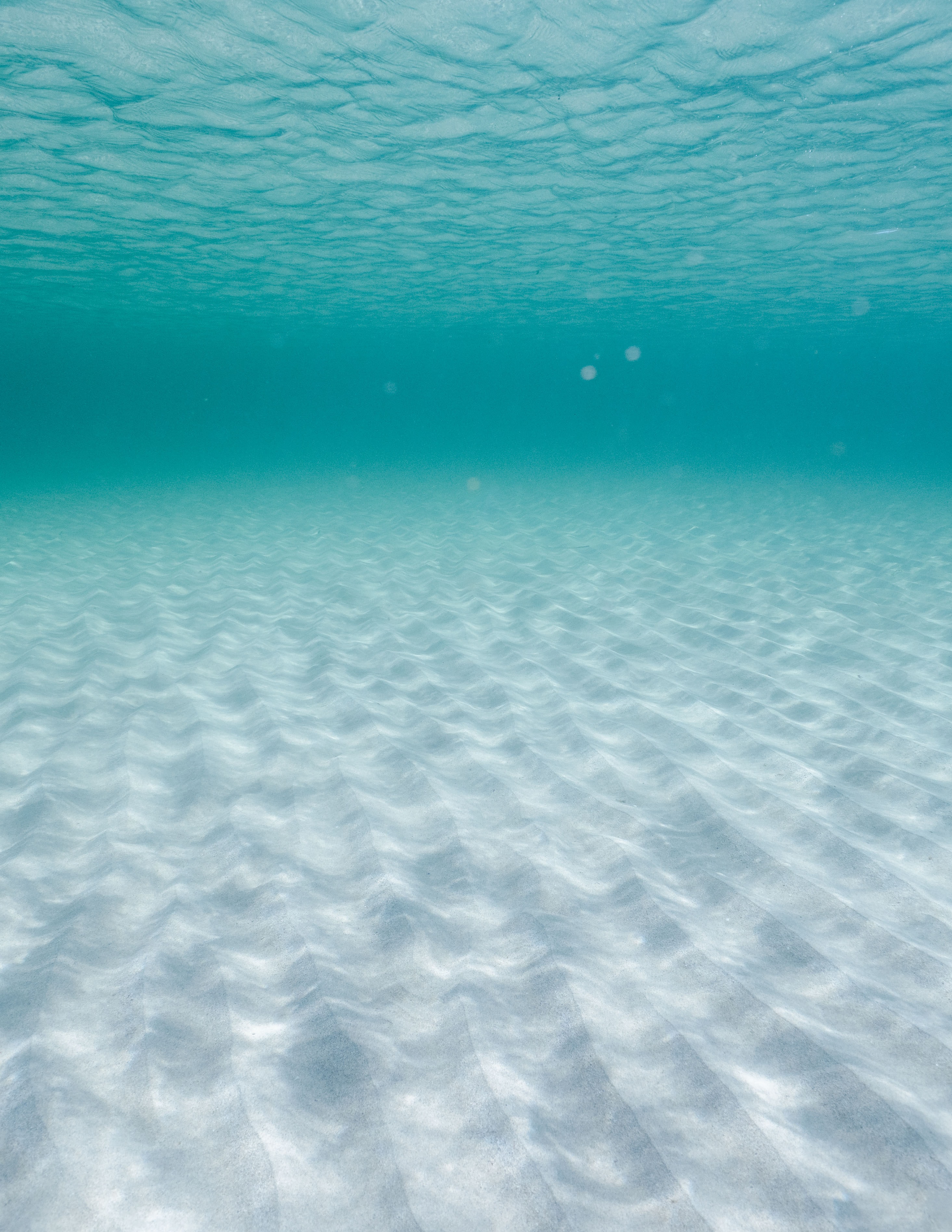 2009-2010, Imperial College London, Marine Aggregates Levy Sustainability Fund (MALSF), Relationship between acoustic backscatter and physical properties of the seabed